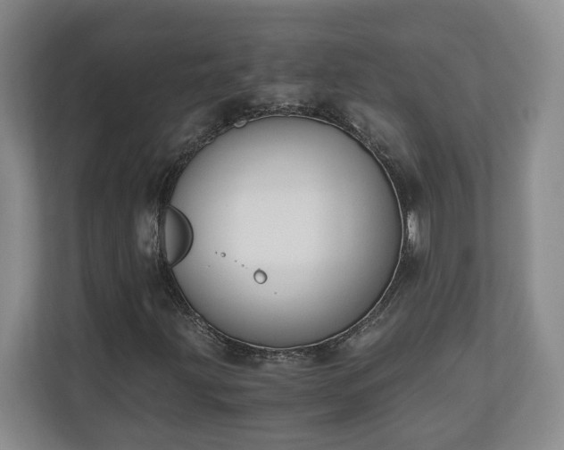 X0000110691203200906191500