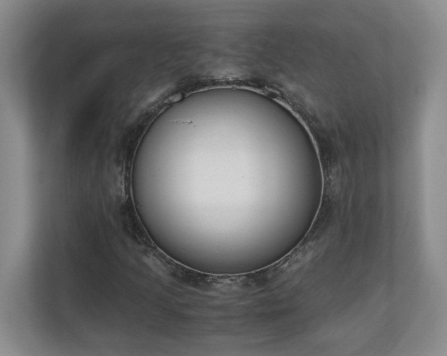 X0000110691205200906191500