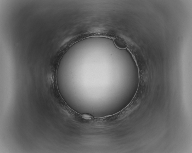 X0000110691206200906191500