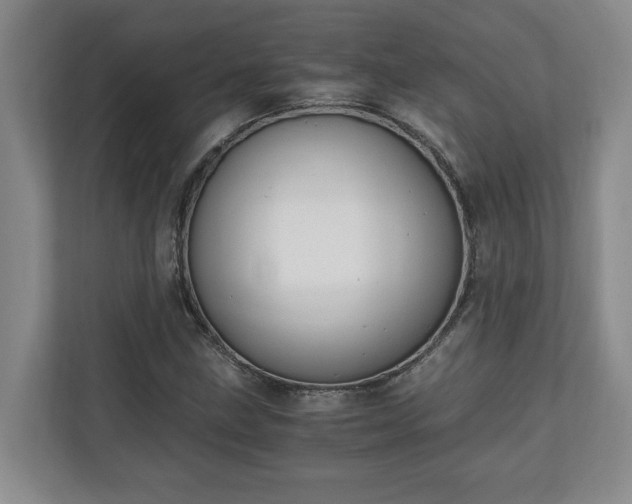 X0000110691211200906191500