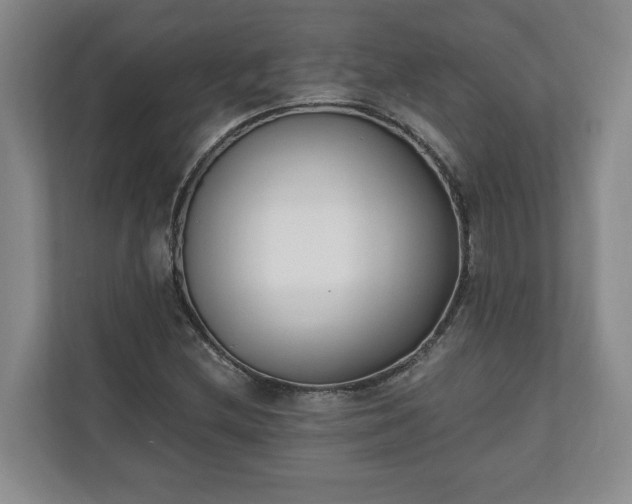 X0000110691212200906191500