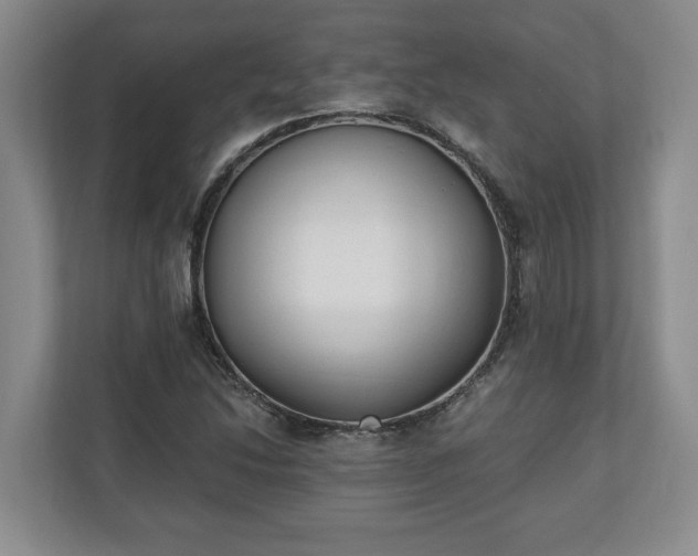 X0000110691214200906191500