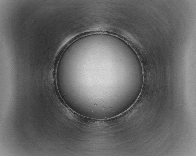 X0000110691216200906191500