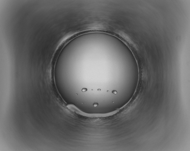 X0000110691222200906191501