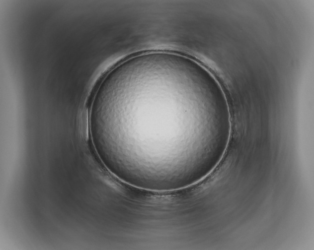 X0000110691223200906191501