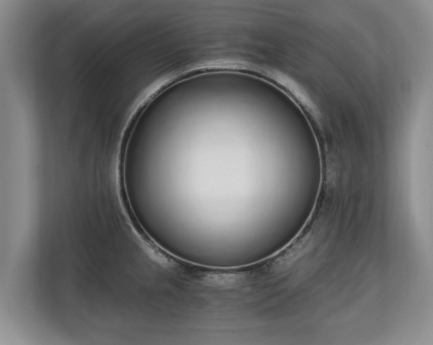 X0000110691237200906191501