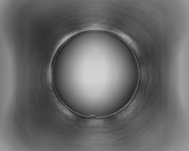 X0000110691238200906191501