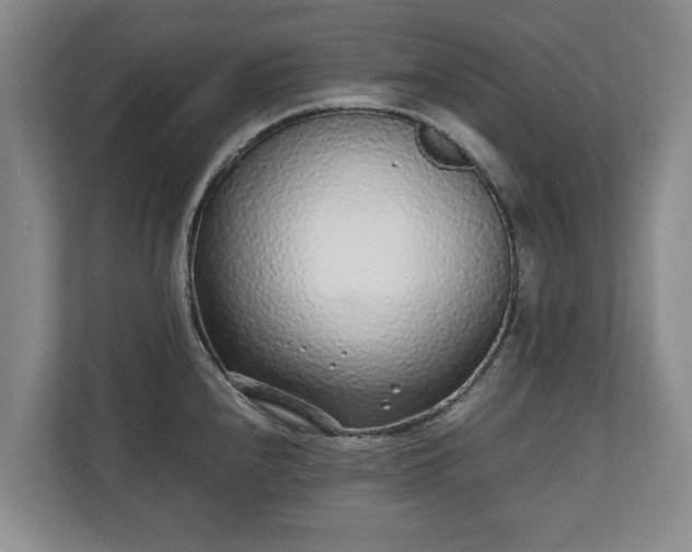 X0000110691240200906191501