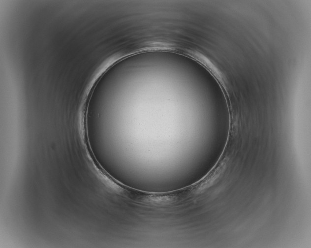 X0000110691243200906191501