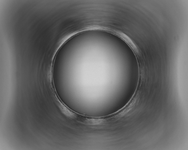 X0000110691244200906191501