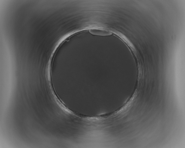 X0000110691246200906191501