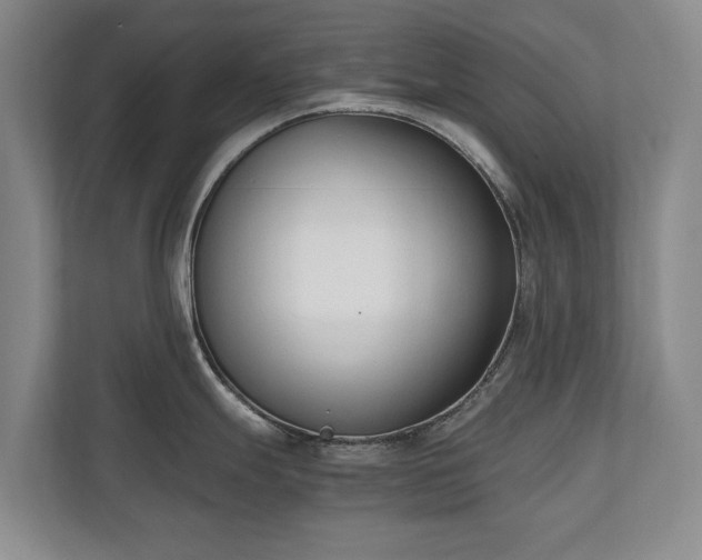 X0000110691247200906191501