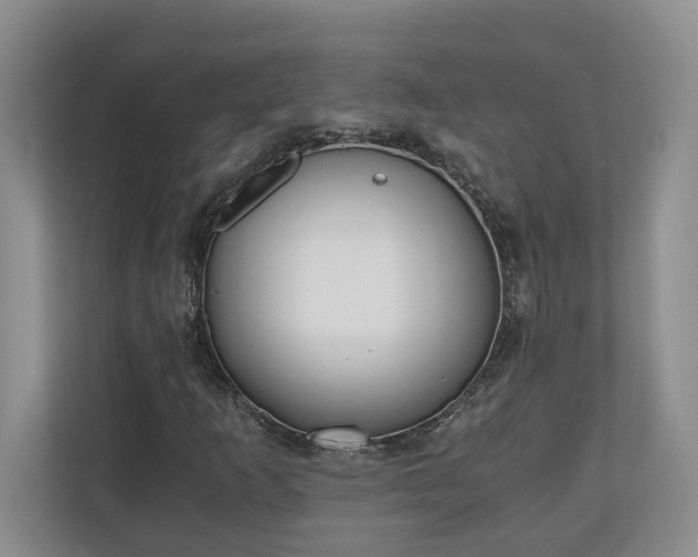 X0000110691253200906191500