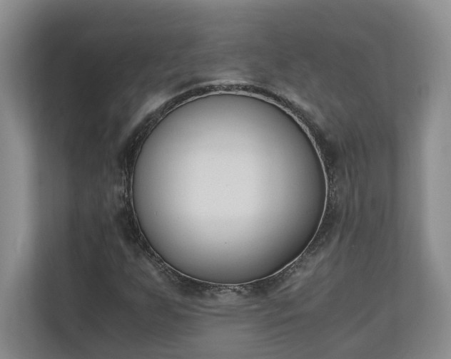 X0000110691255200906191500