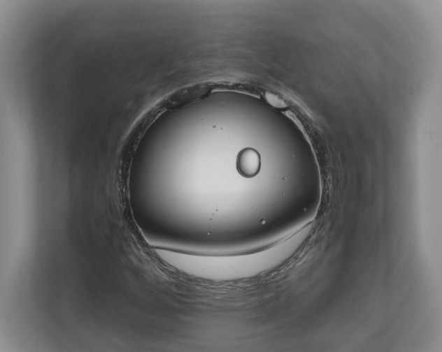 X0000110691256200906191500