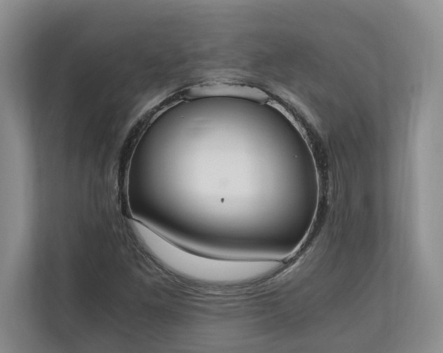 X0000110691261200906191500