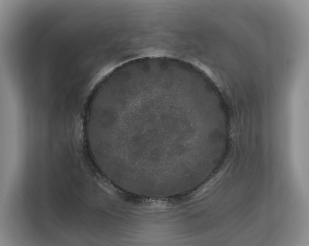 X0000110691263200906191500