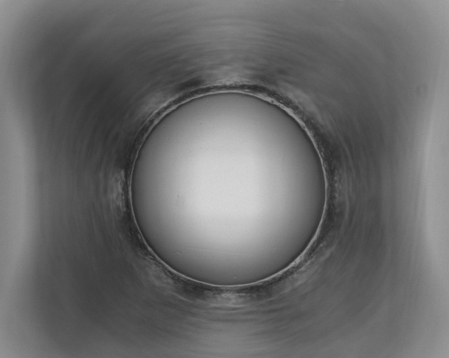 X0000110691265200906191500