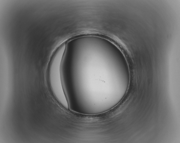 X0000110691269200906191500