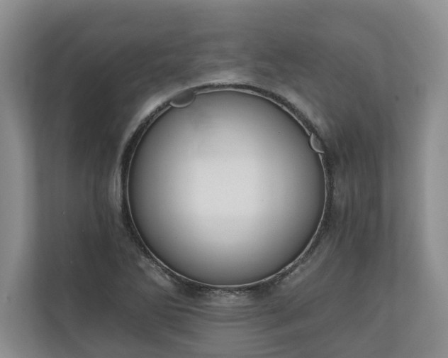 X0000110691270200906191500