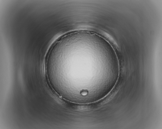 X0000110691275200906191500