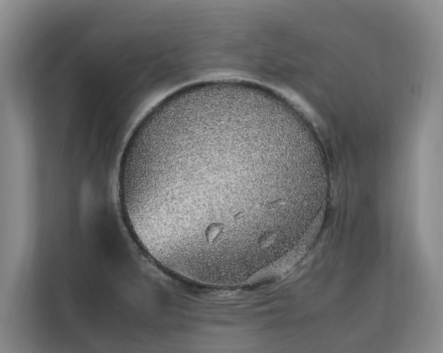 X0000110691279200906191500