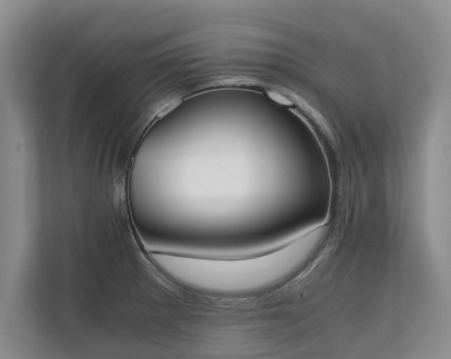 X0000110691281200906191500