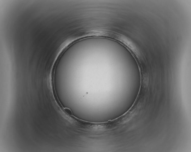 X0000110691283200906191500