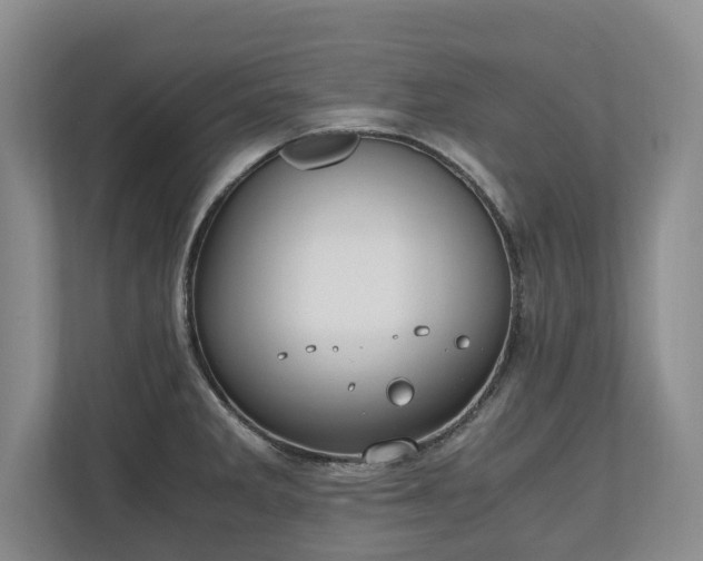 X0000110691285200906191500