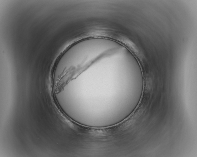 X0000110691286200906191500