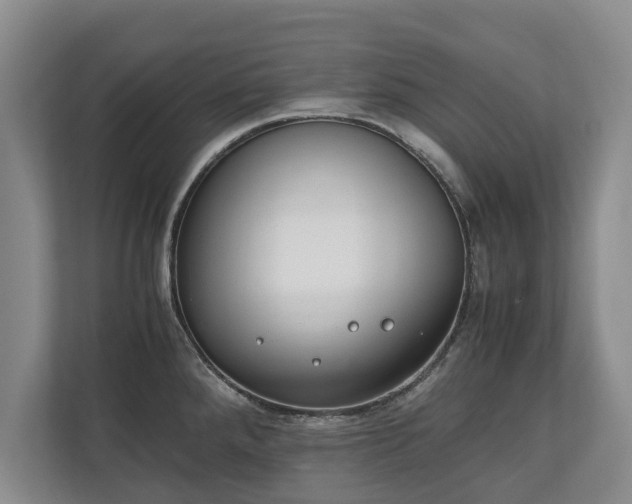 X0000110691288200906191500