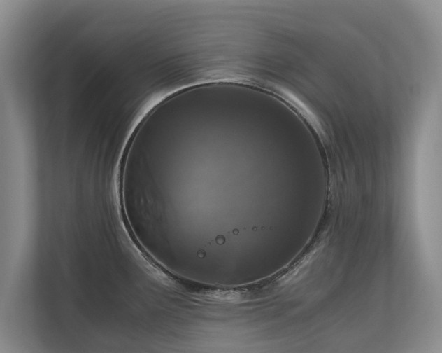 X0000110691291200906191500