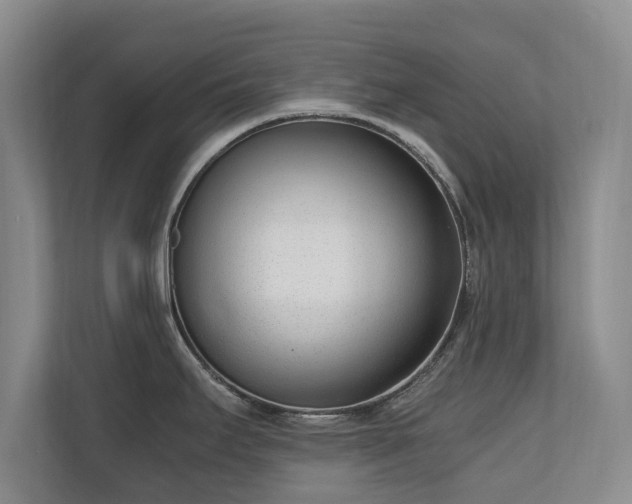 X0000110691295200906191500