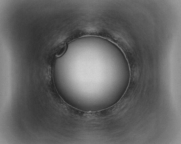 X0000110691301200906191459