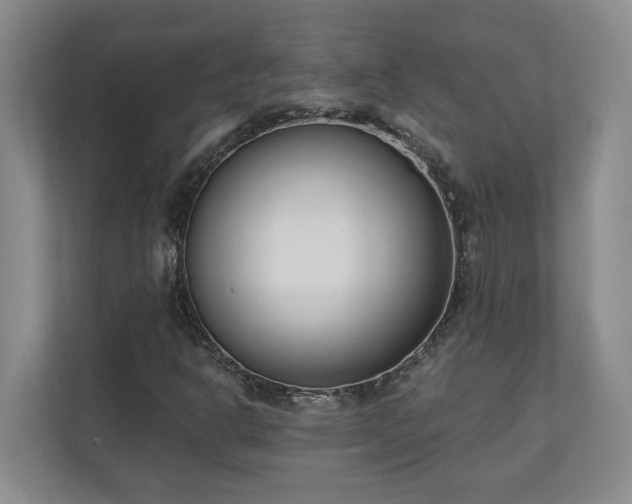 X0000110691302200906191459