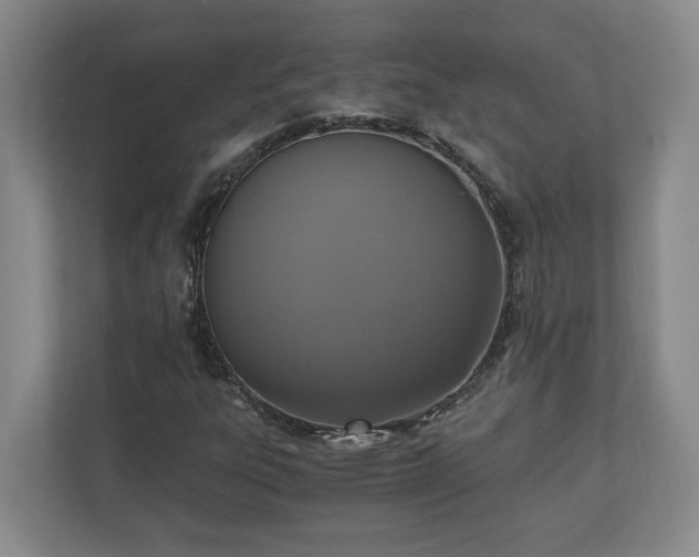 X0000110691303200906191459