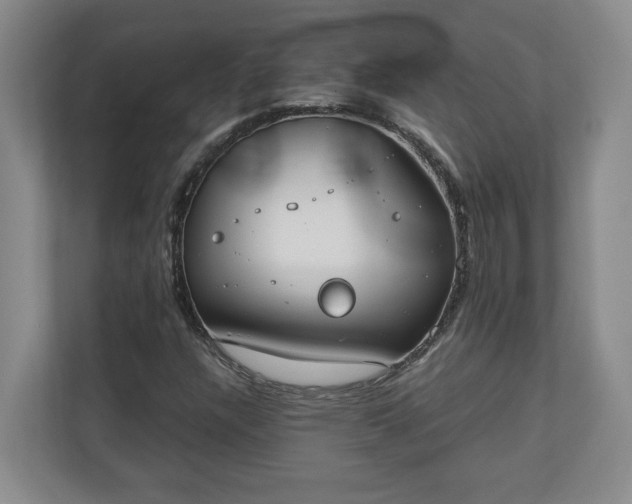 X0000110691304200906191459