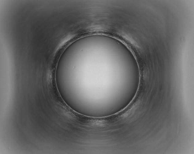 X0000110691309200906191459