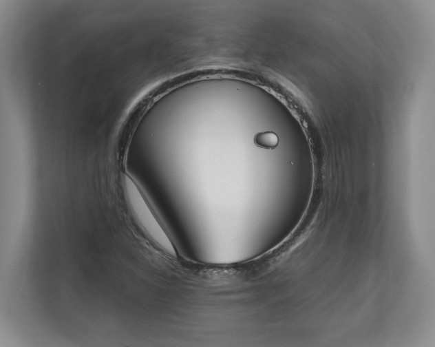 X0000110691310200906191459