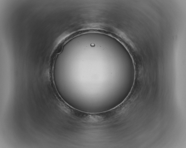 X0000110691312200906191459