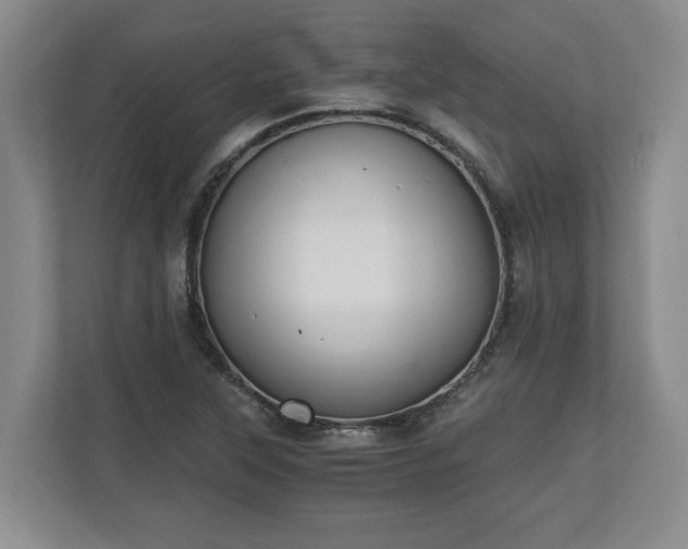 X0000110691315200906191459