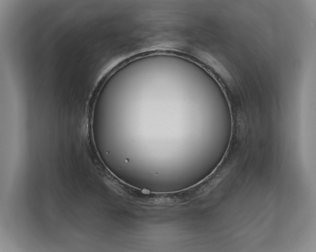 X0000110691316200906191459