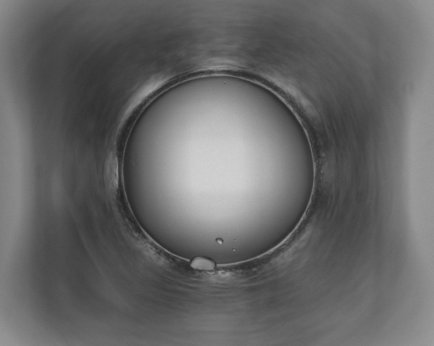 X0000110691317200906191459