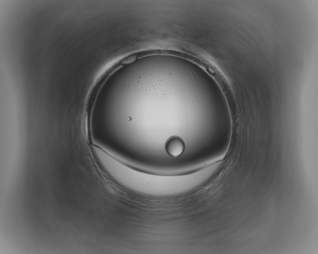 X0000110691320200906191459