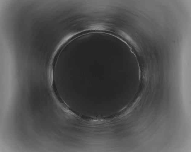 X0000110691323200906191459