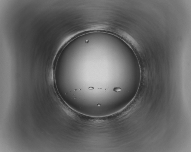 X0000110691324200906191459