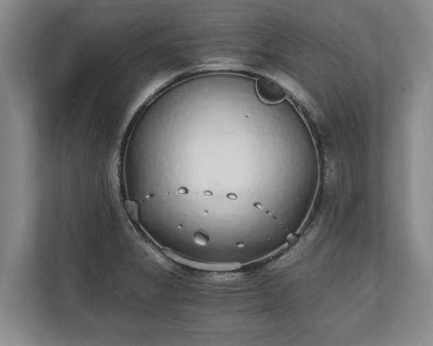 X0000110691325200906191459