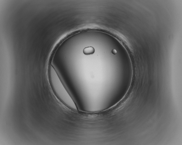 X0000110691326200906191459