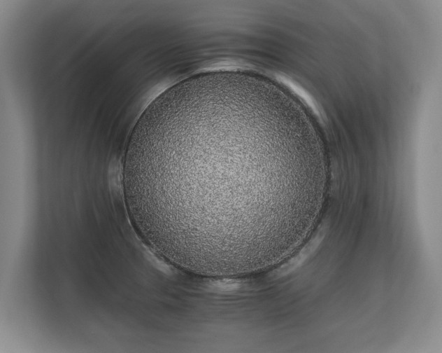 X0000110691329200906191459