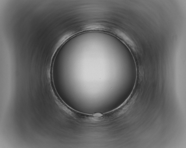 X0000110691330200906191459